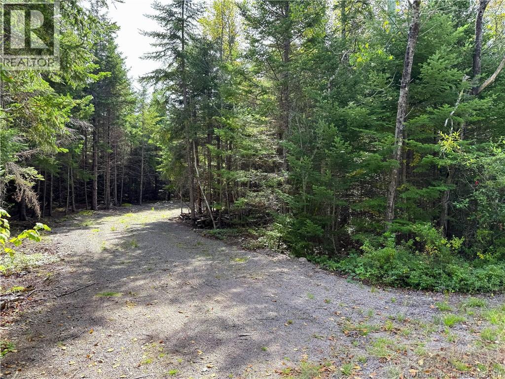5 Spurline Avenue Property Photo 4