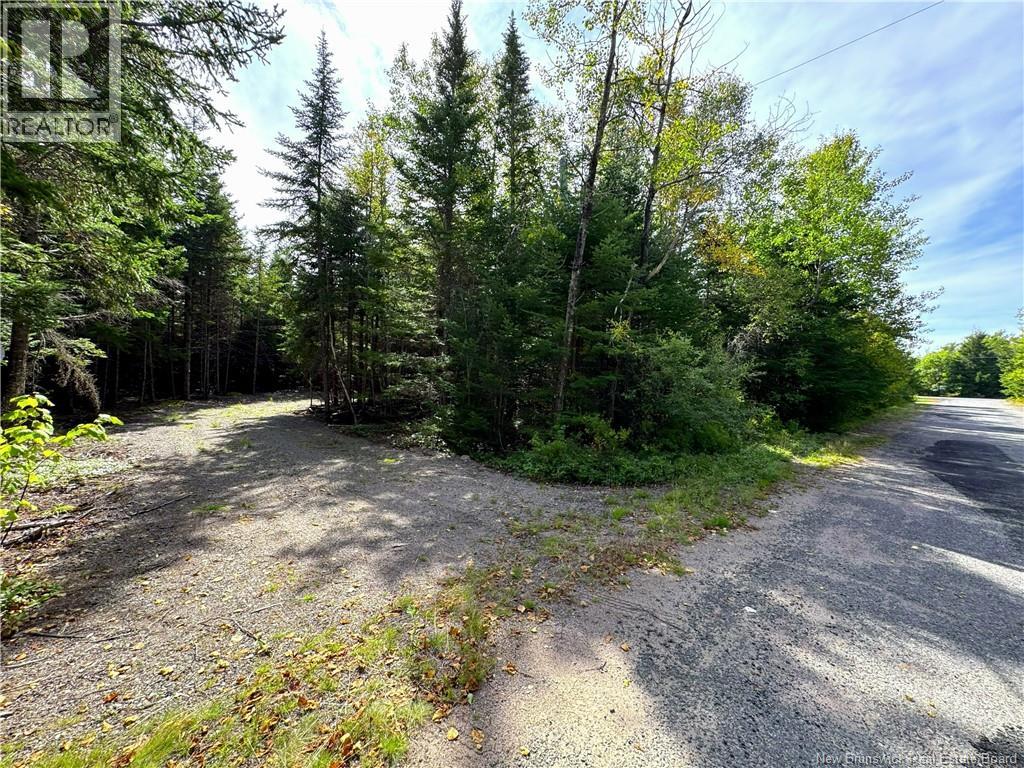5 Spurline Avenue Property Photo 5