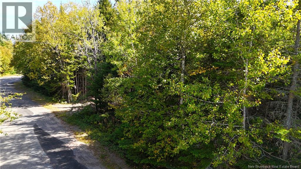 5 Spurline Avenue Property Photo 7