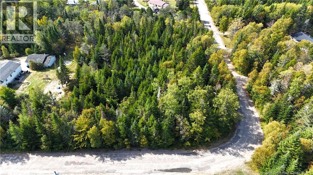 5 Spurline Avenue Property Photo 11