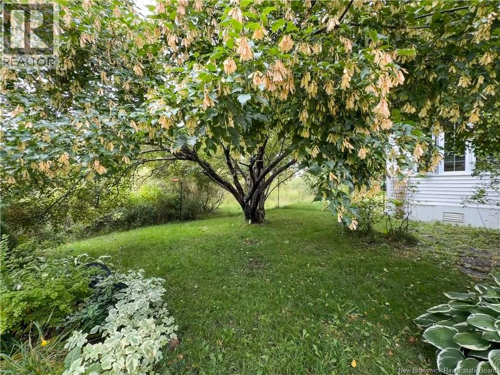 42 L'anse Street Property Photo 31