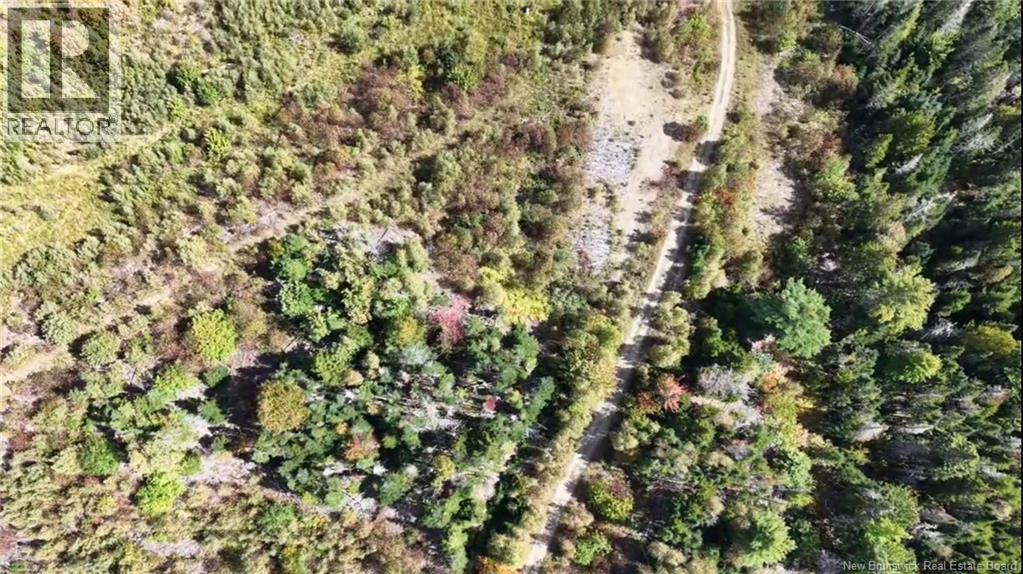 Saint David Ridge Road Property Photo 3
