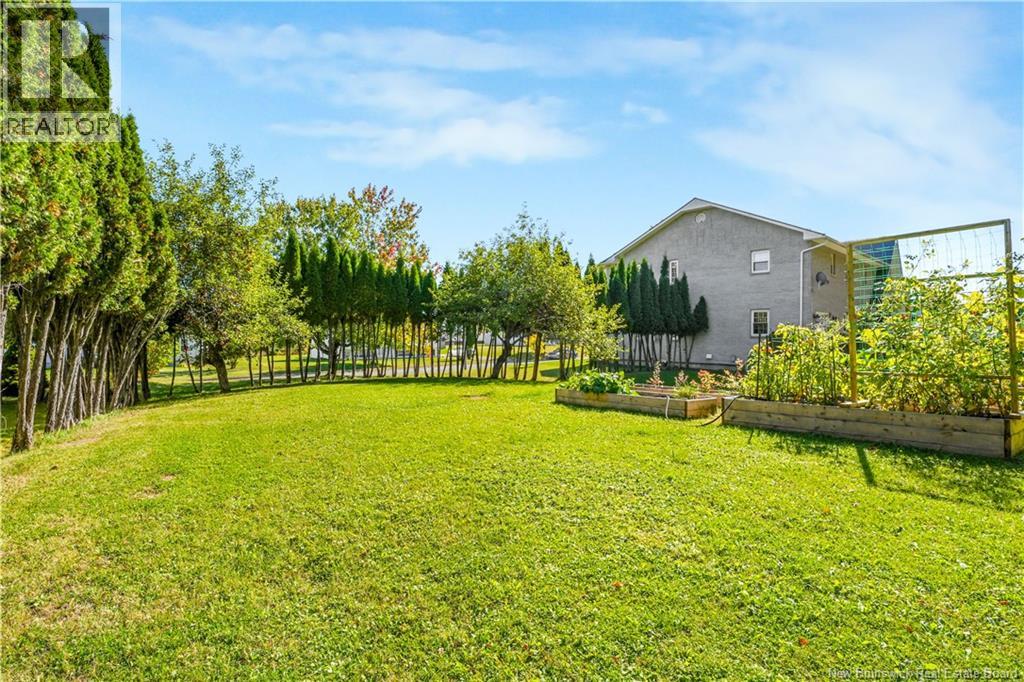 19 Doyle Street Property Photo 46