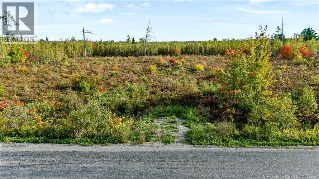 Lot Middlesex Road Property Photo 15