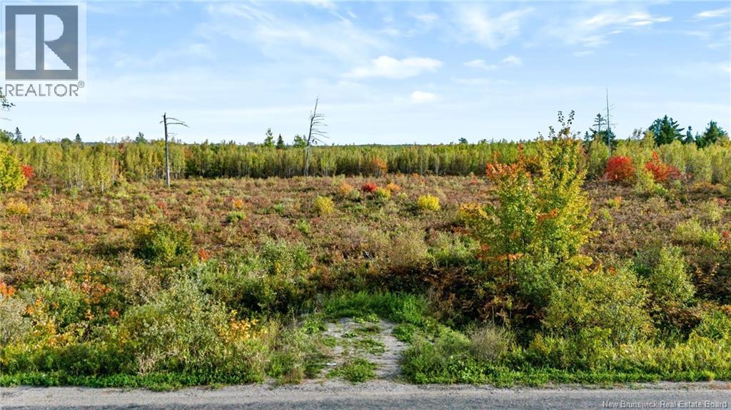 Lot Middlesex Road Property Photo 16