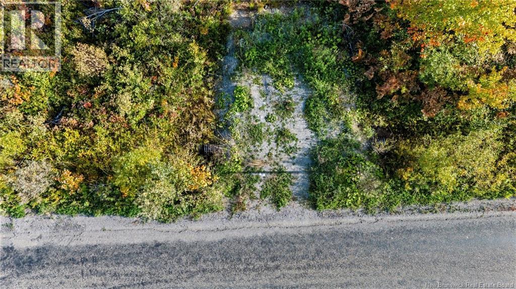 Lot Middlesex Road Property Photo 23