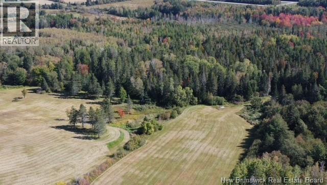 47210 Homestead Road Property Photo 15