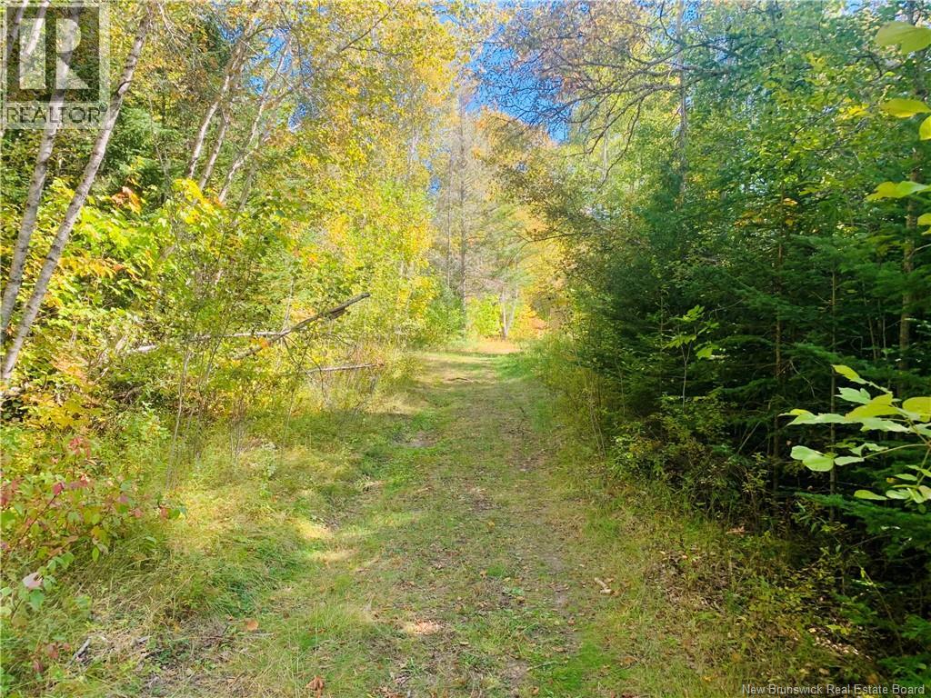 180 Route 630 Property Photo 1