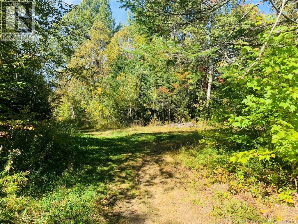 180 Route 630 Property Photo 2
