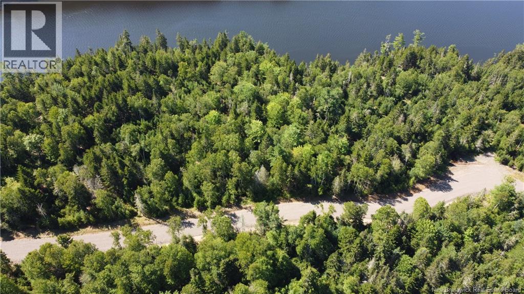 Osprey Lane Property Photo 21