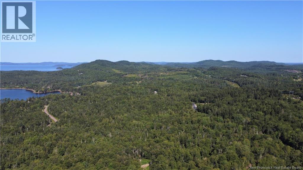 Osprey Lane Property Photo 26