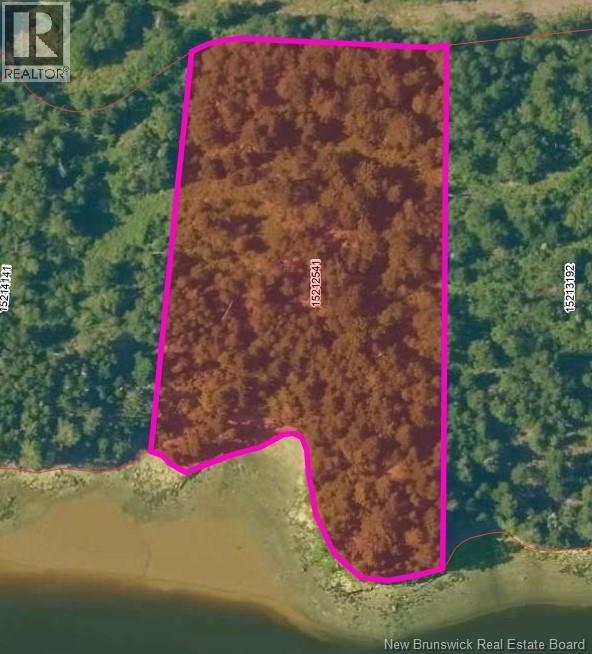 Osprey Lane Property Photo 37
