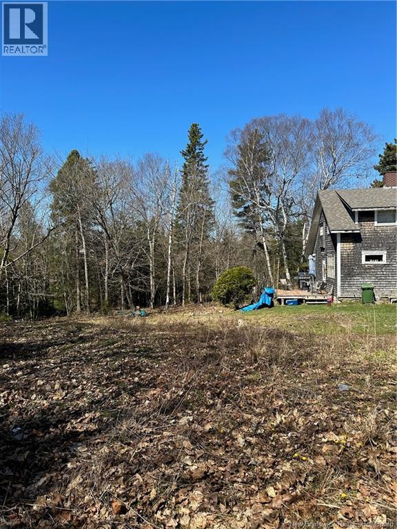 16 Clark Road Property Photo 11