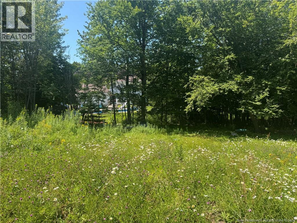 16 Clark Road Property Photo 12