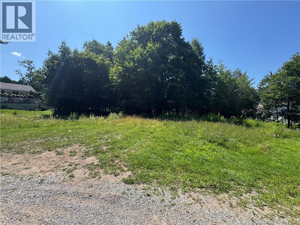 16 Clark Road Property Photo 14