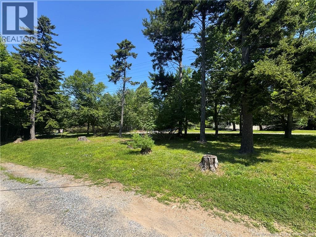 16 Clark Road Property Photo 16