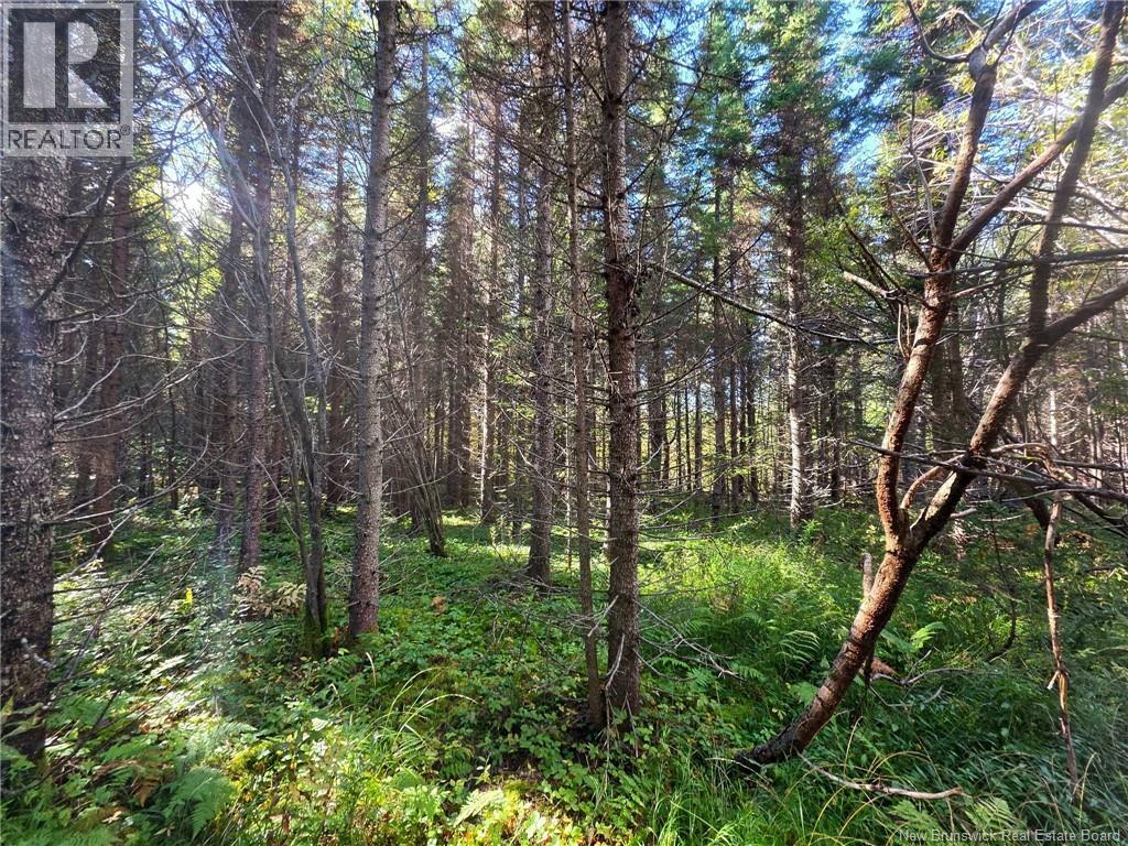 LOT 25-3 Mulligan Road