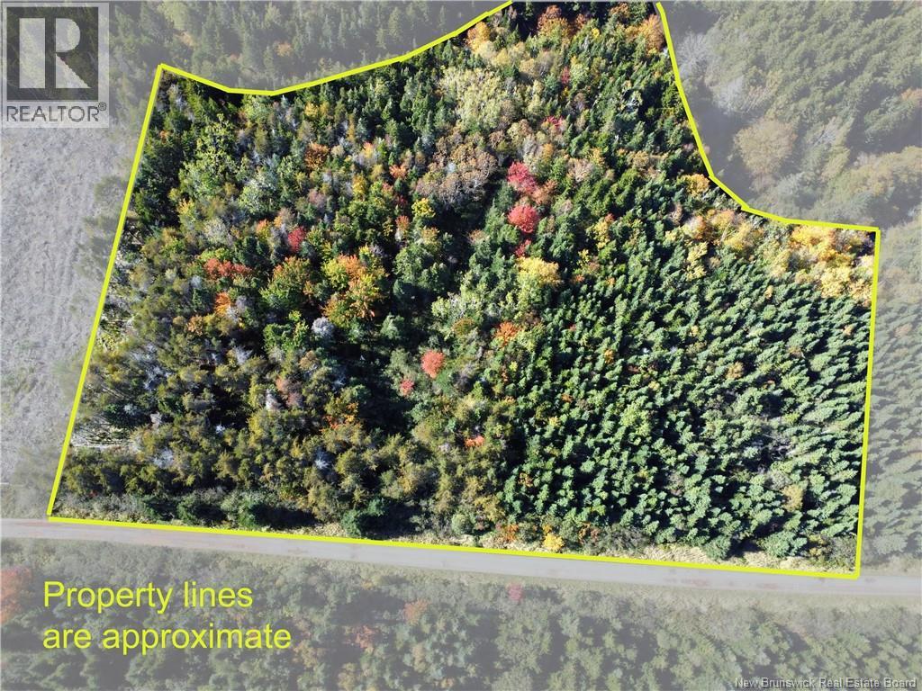 Lot 25-3 Mulligan Road Property Photo 3