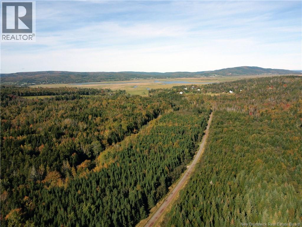 Lot 25-3 Mulligan Road Property Photo 13