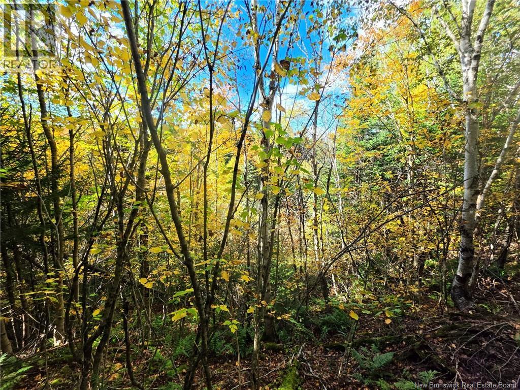 Lot 25-3 Mulligan Road Property Photo 15
