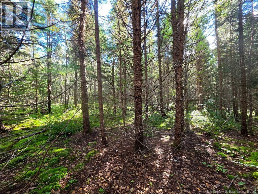 Lot 25-3 Mulligan Road Property Photo 18