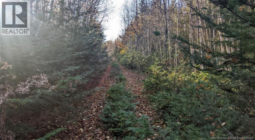 Old Great Road Property Photo 1
