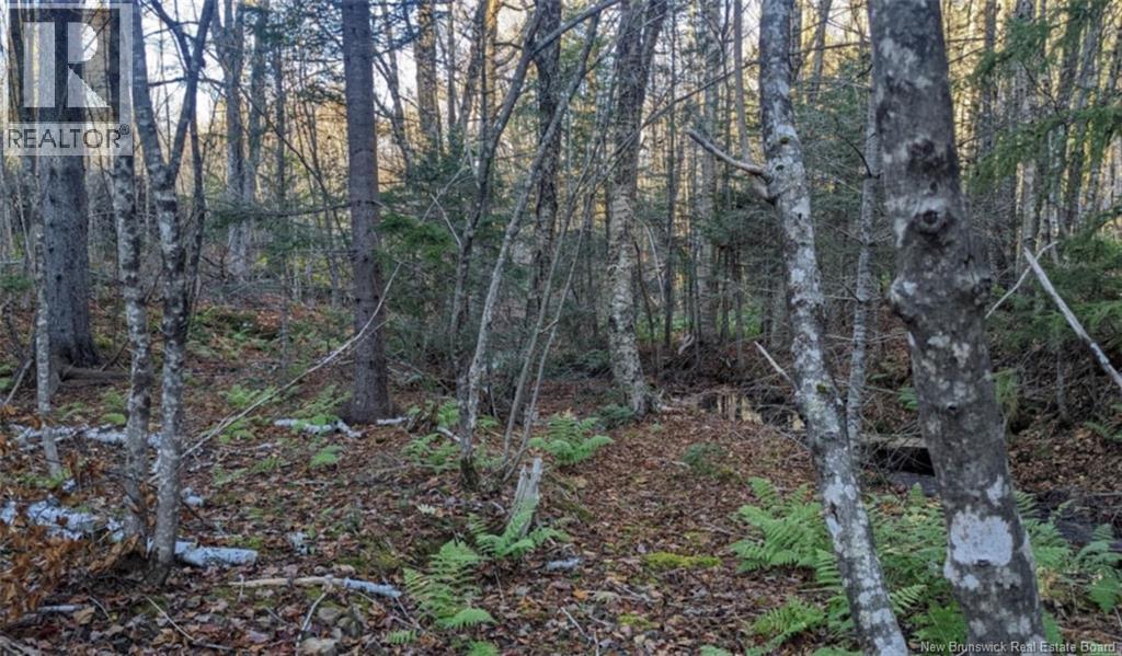 Old Great Road Property Photo 3