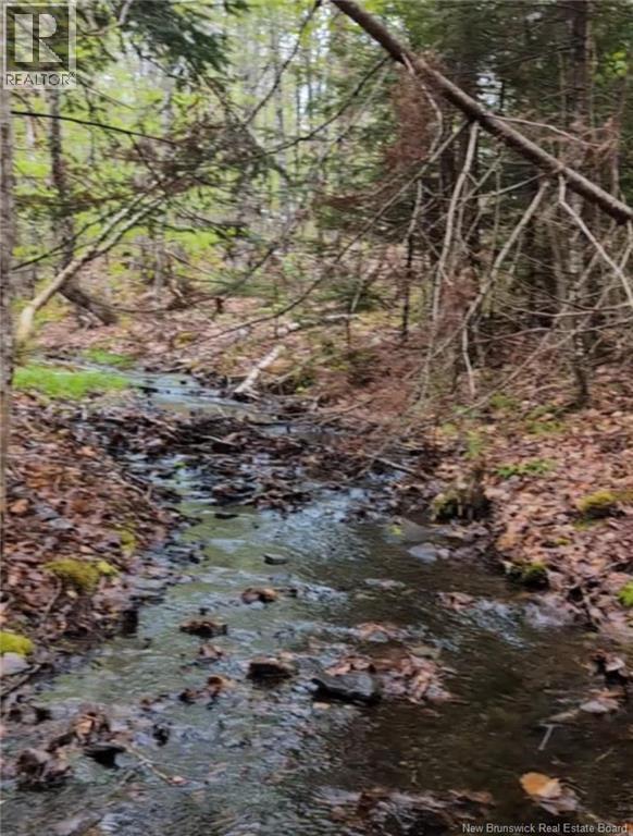 Old Great Road Property Photo 4