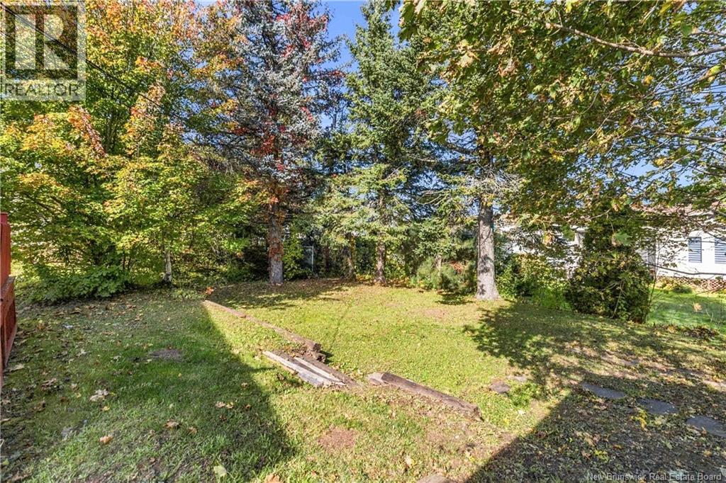 59 Anne Street Property Photo 8