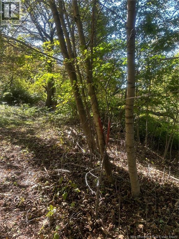 O Prince William Property Photo 6