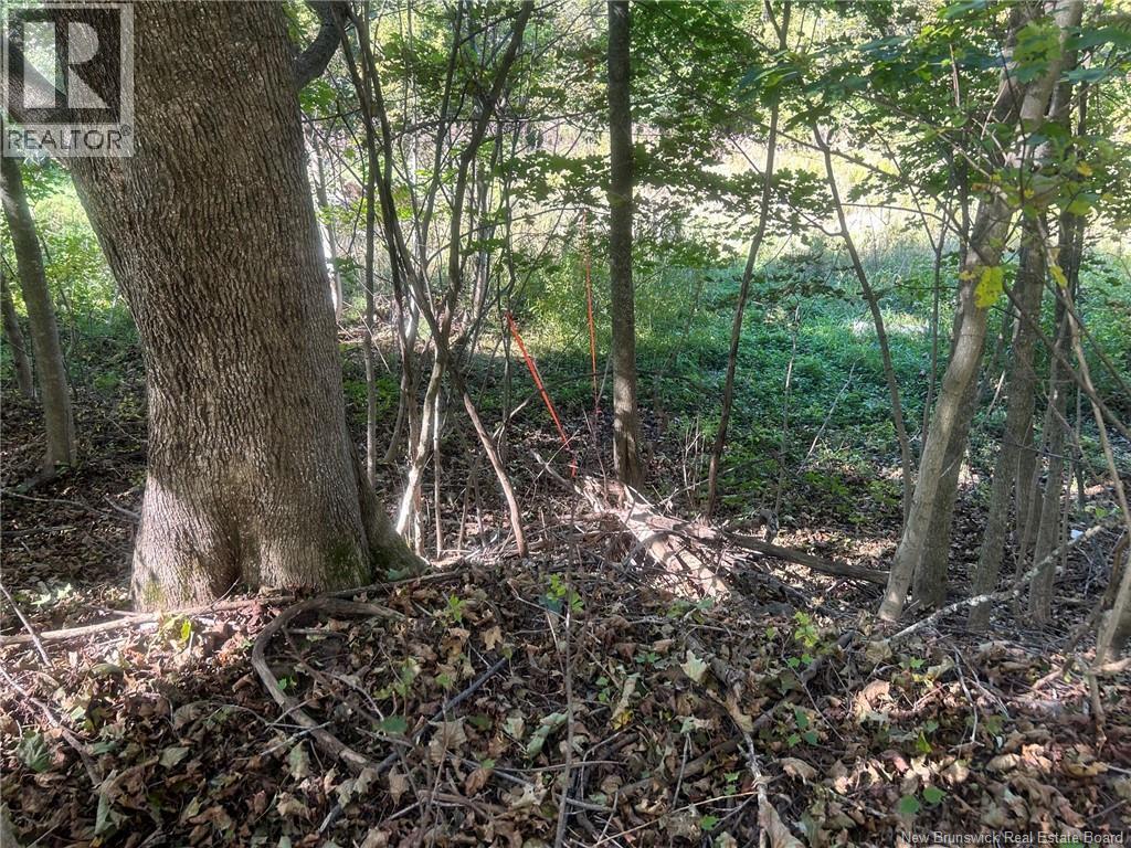 O Prince William Property Photo 7