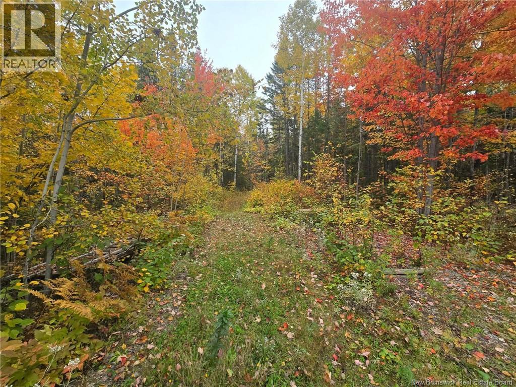 275 Chamberlain Settlement Property Photo 15