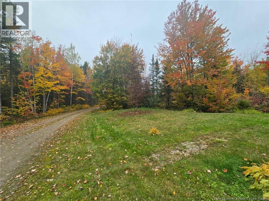 275 Chamberlain Settlement Property Photo 17