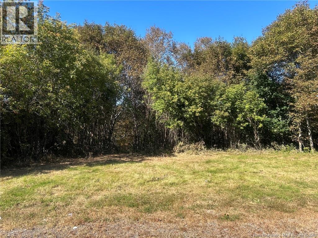 19 St. James Street Property Photo 2