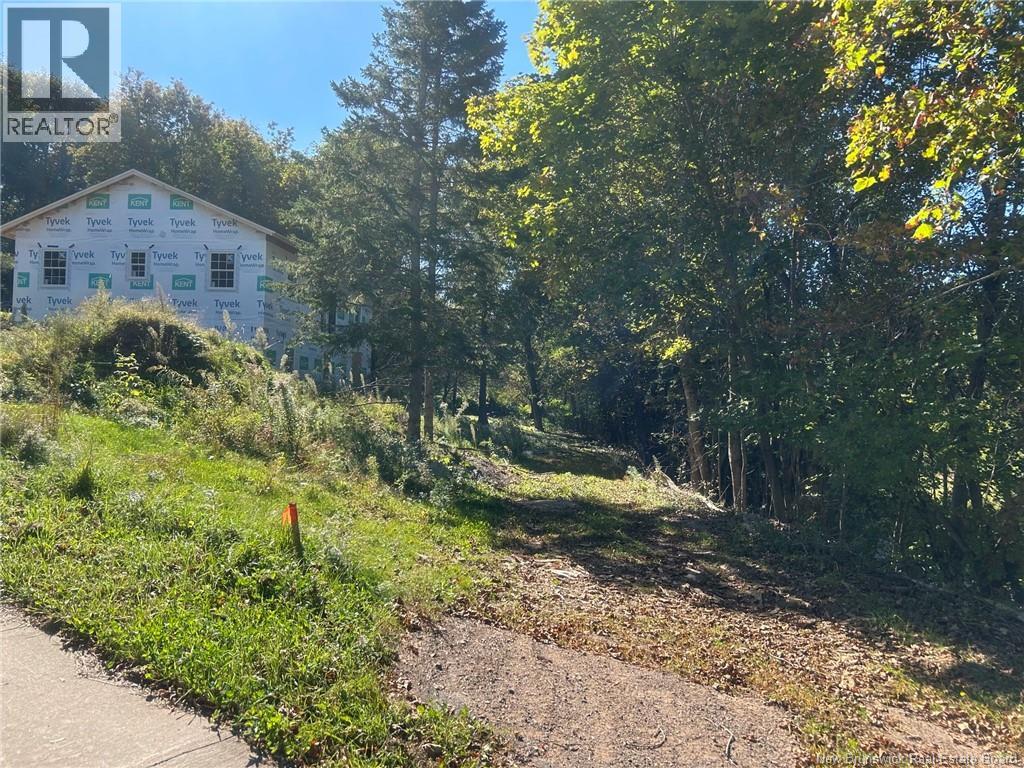 19 St. James Street Property Photo 4