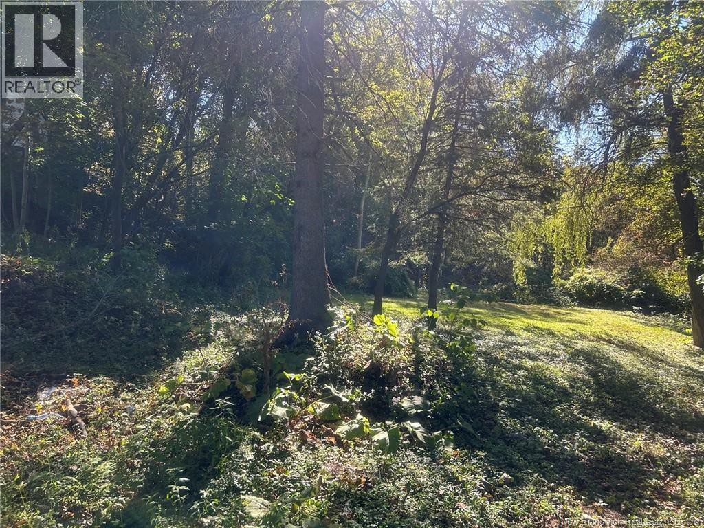 19 St. James Street Property Photo 6