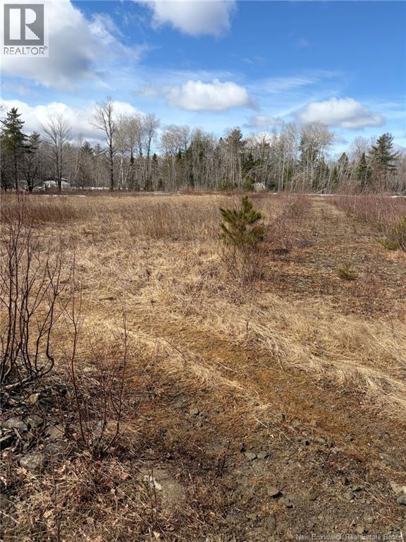 1 Acre Bellefond Road Property Photo 1