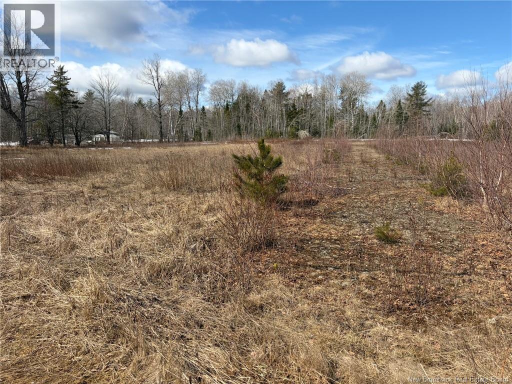 1 Acre Bellefond Road Property Photo 2