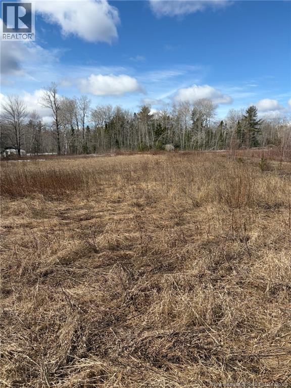 1 Acre Bellefond Road Property Photo 3