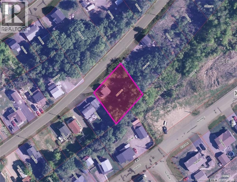 162 Ferguson Street Property Photo 22