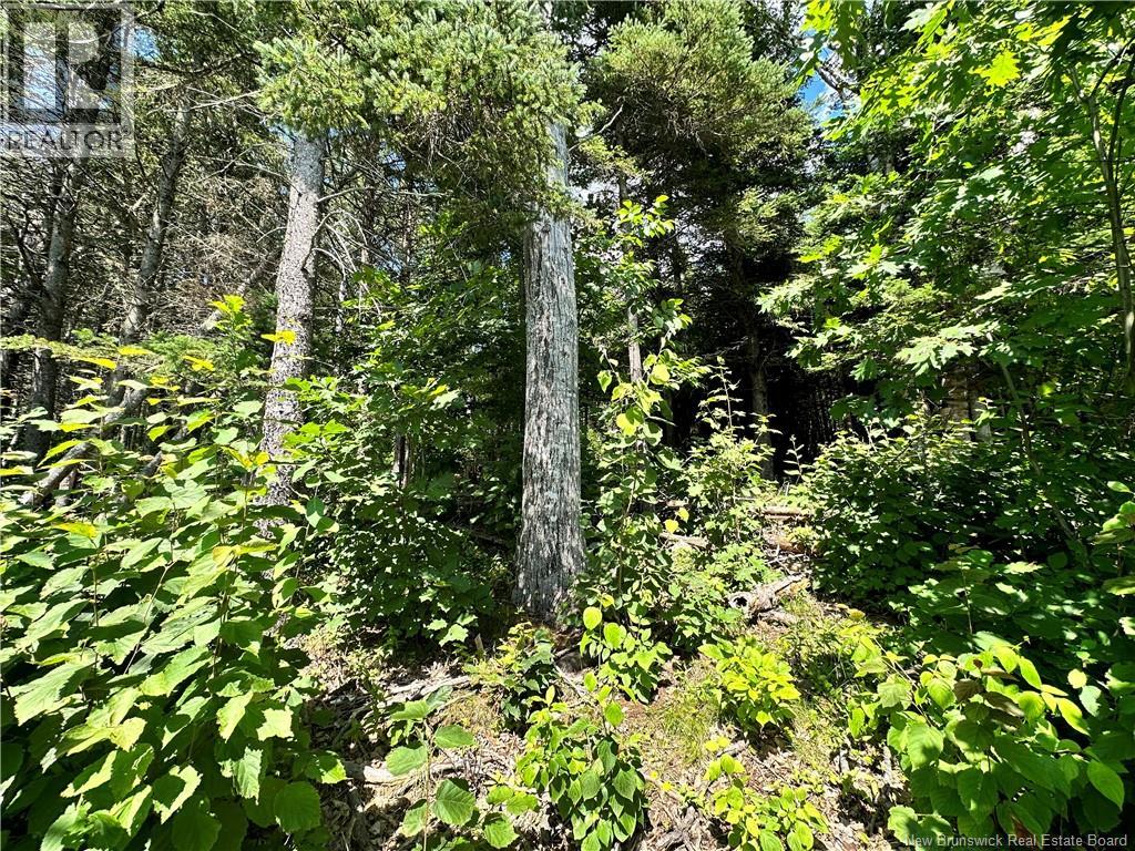 Lot Route 105 Property Photo 4