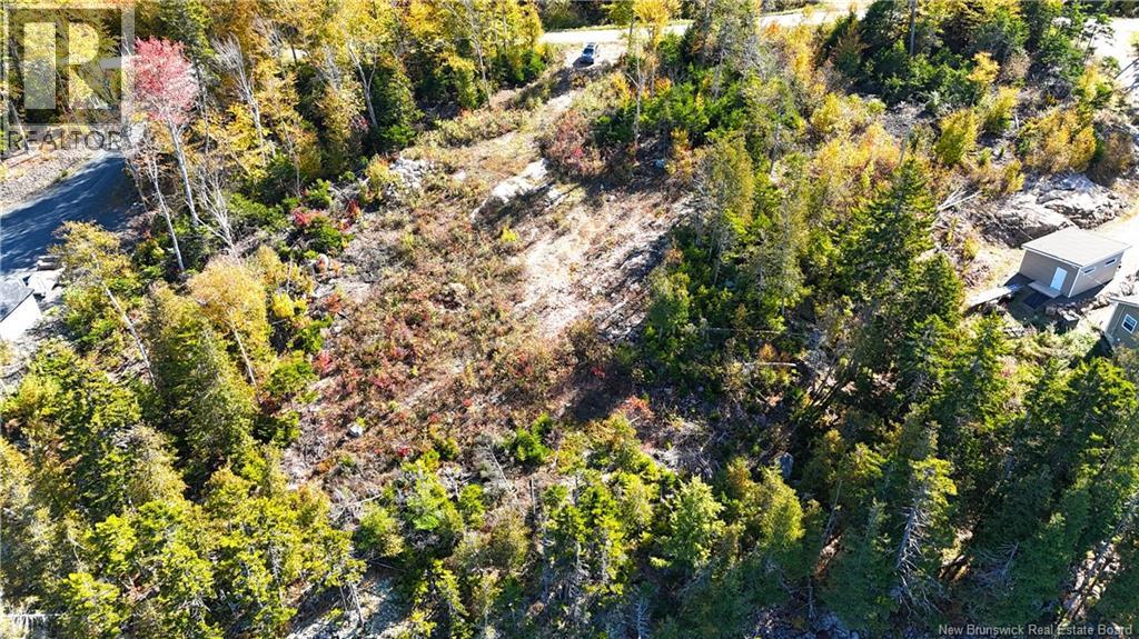 Bluff Road Property Photo 10