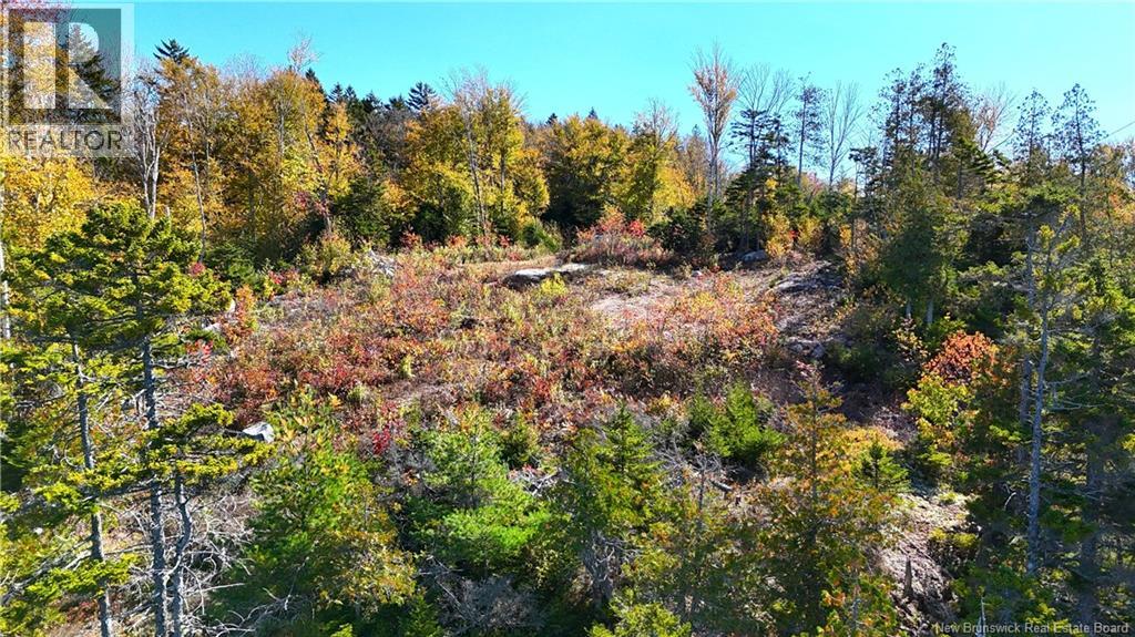 Bluff Road Property Photo 15