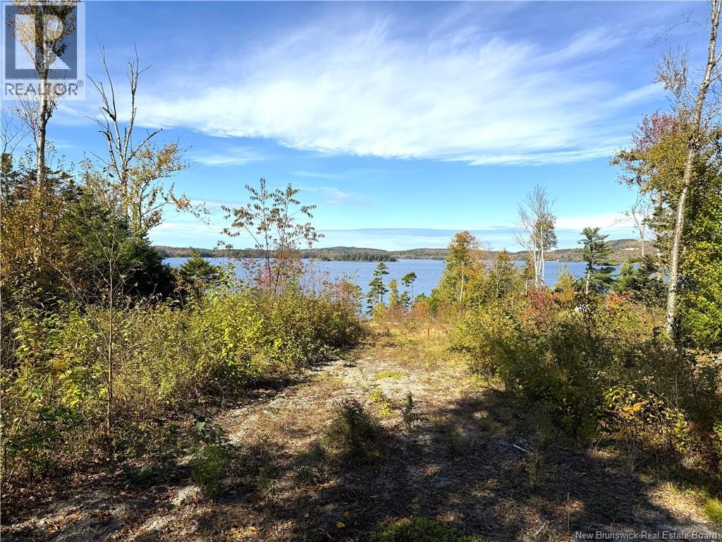 Bluff Road Property Photo 16