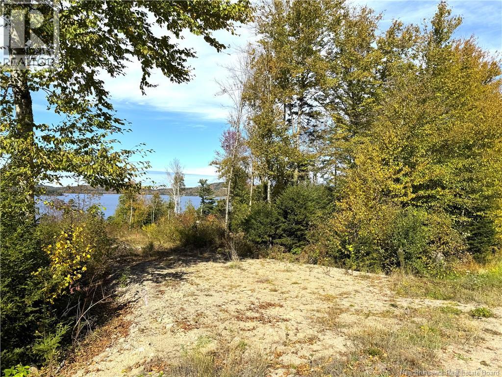 Bluff Road Property Photo 17