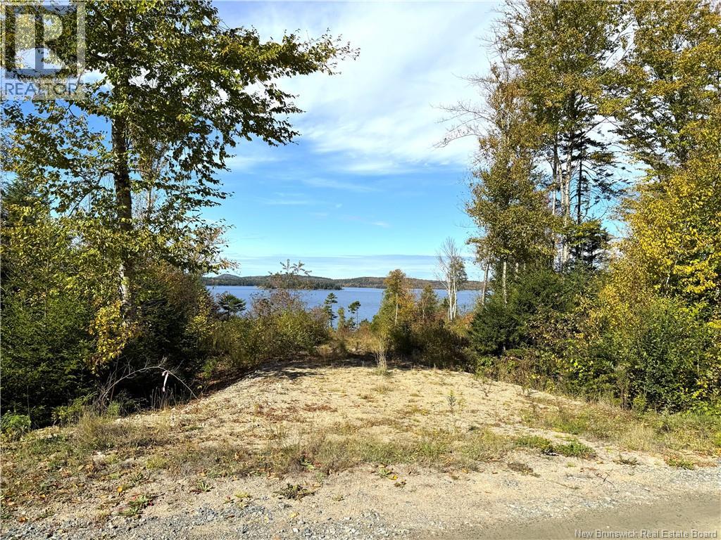 Bluff Road Property Photo 19