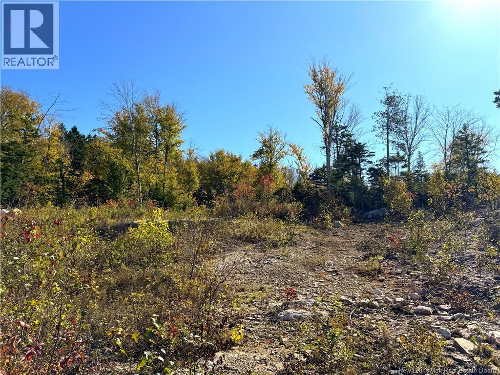 Bluff Road Property Photo 20