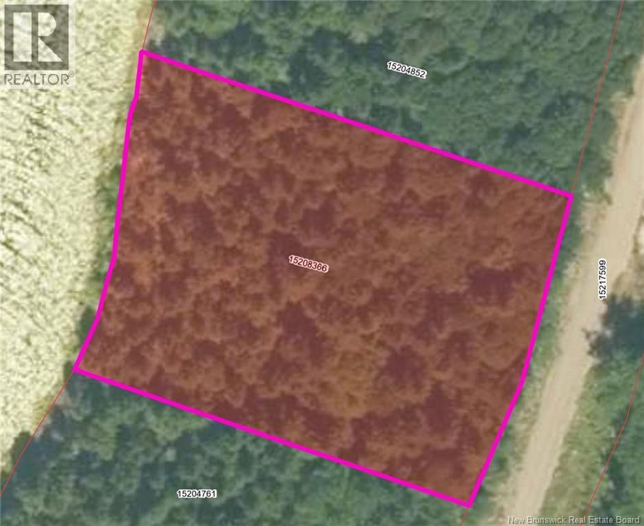 Bluff Road Property Photo 30