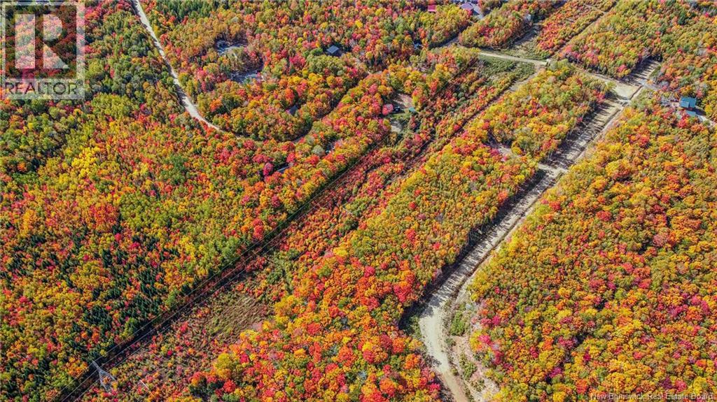 Lot Skiers Lane Property Photo 4