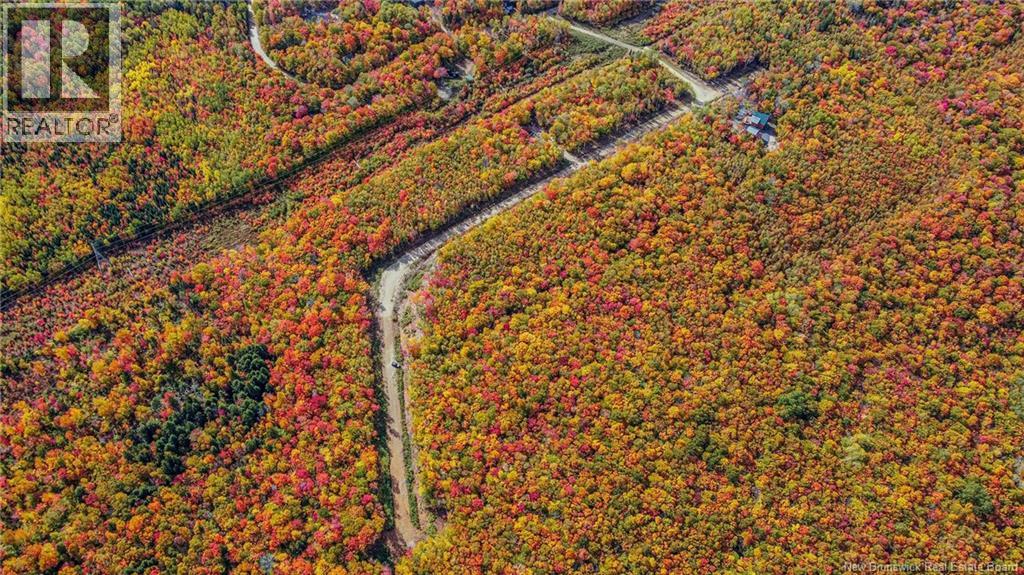 Lot Skiers Lane Property Photo 6